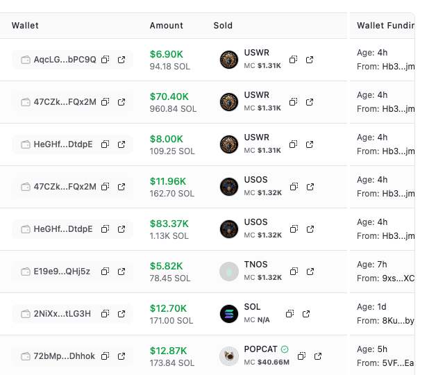 Stalkchain Fresh Wallets Feed showing several recently funded wallets with the same visible funding source and overlapping token activity
